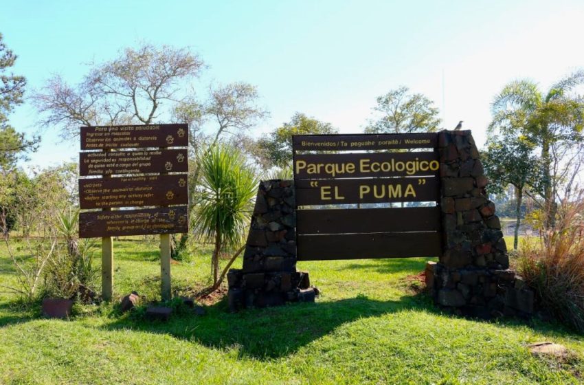  Este año podrían volver las visitas al Parque el Puma